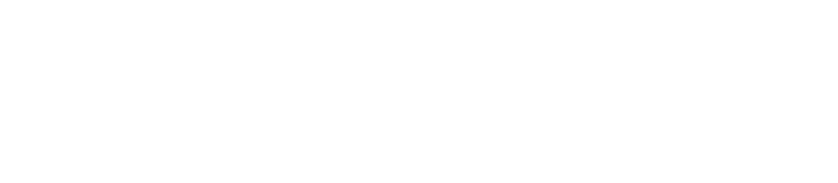 Plenefy — Blindagem Patrimonial e Seguros
